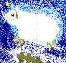 ǡӤ ҤĤ